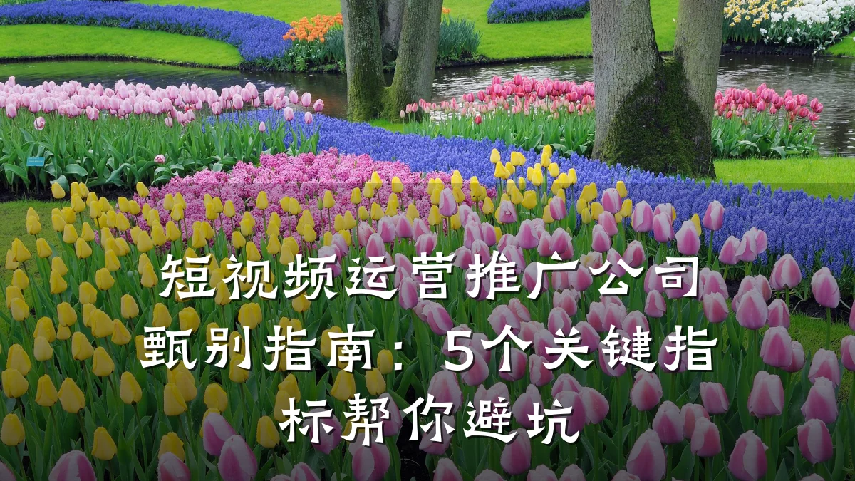 短视频运营推广公司甄别指南:5个关键指标帮你避坑