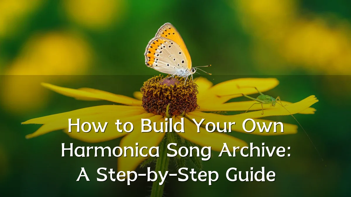 How to Build Your Own Harmonica Song Archive: A Step-by-Step Guide