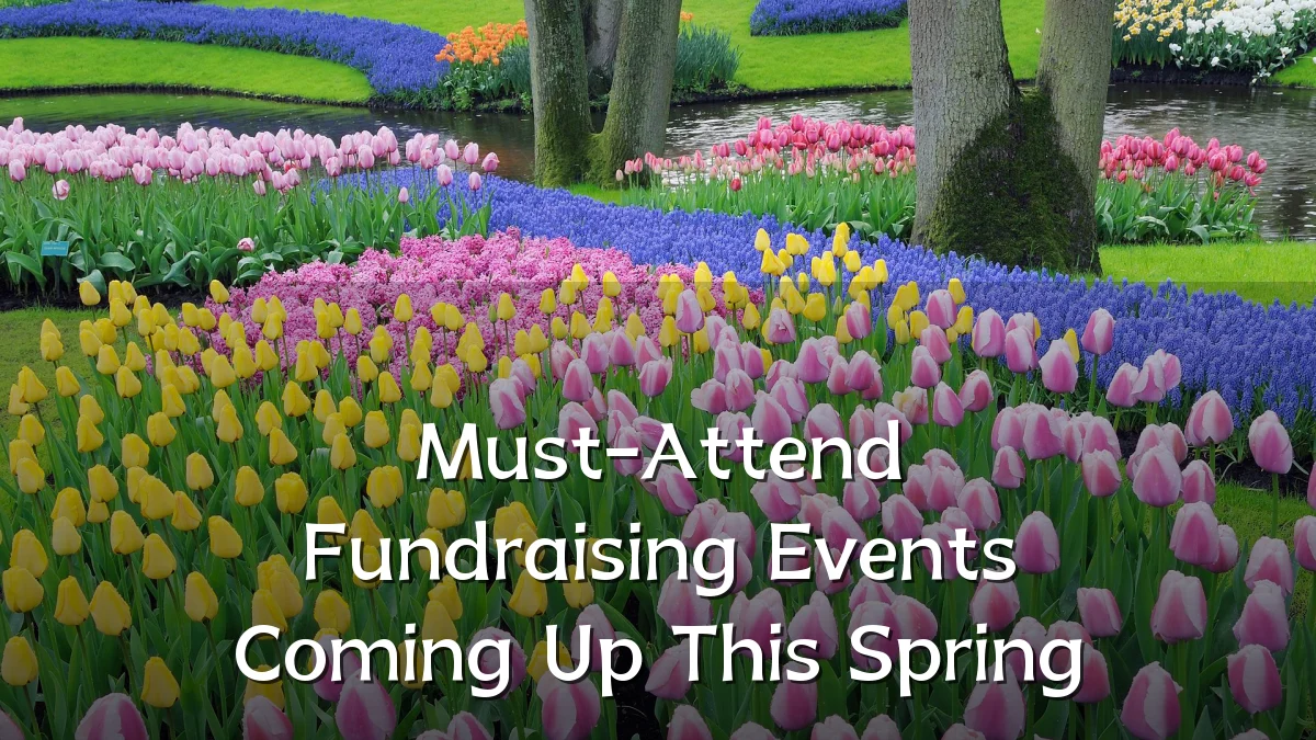Must-Attend Fundraising Events Coming Up This Spring