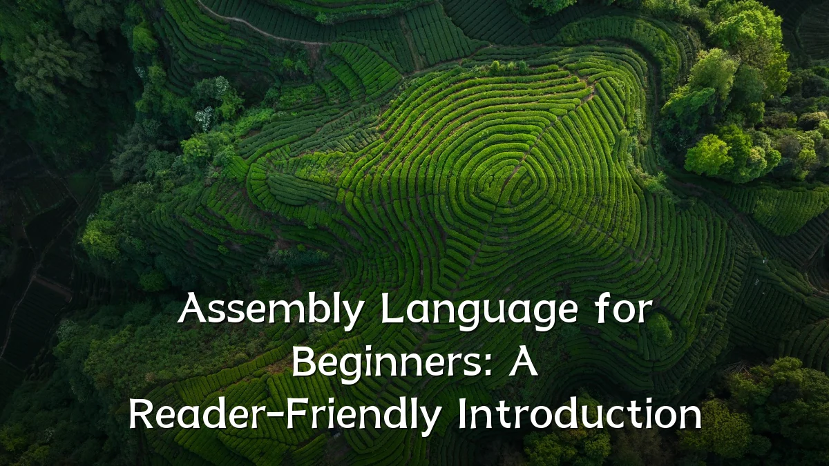 Assembly Language for Beginners: A Reader-Friendly Introduction
