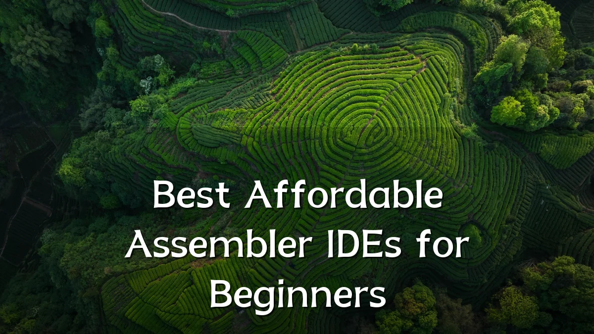Best Affordable Assembler IDEs for Beginners