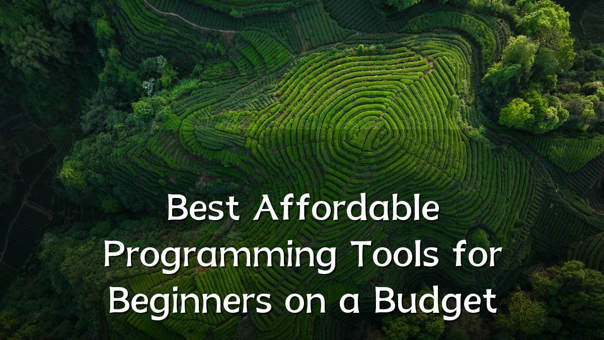 Best Affordable Programming Tools for Beginners on a Budget