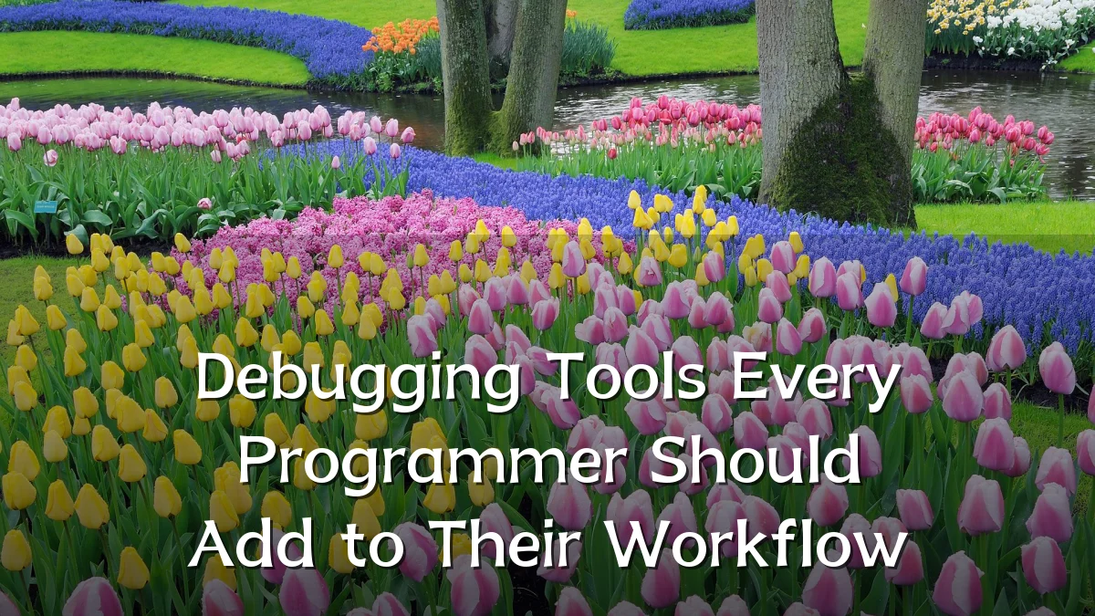 Debugging Tools Every Programmer Should Add to Their Workflow