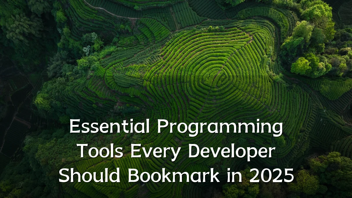 Essential Programming Tools Every Developer Should Bookmark in 2025