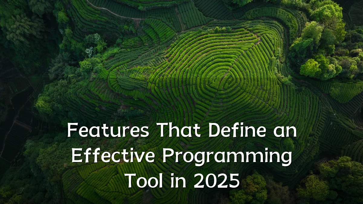 Features That Define an Effective Programming Tool in 2025
