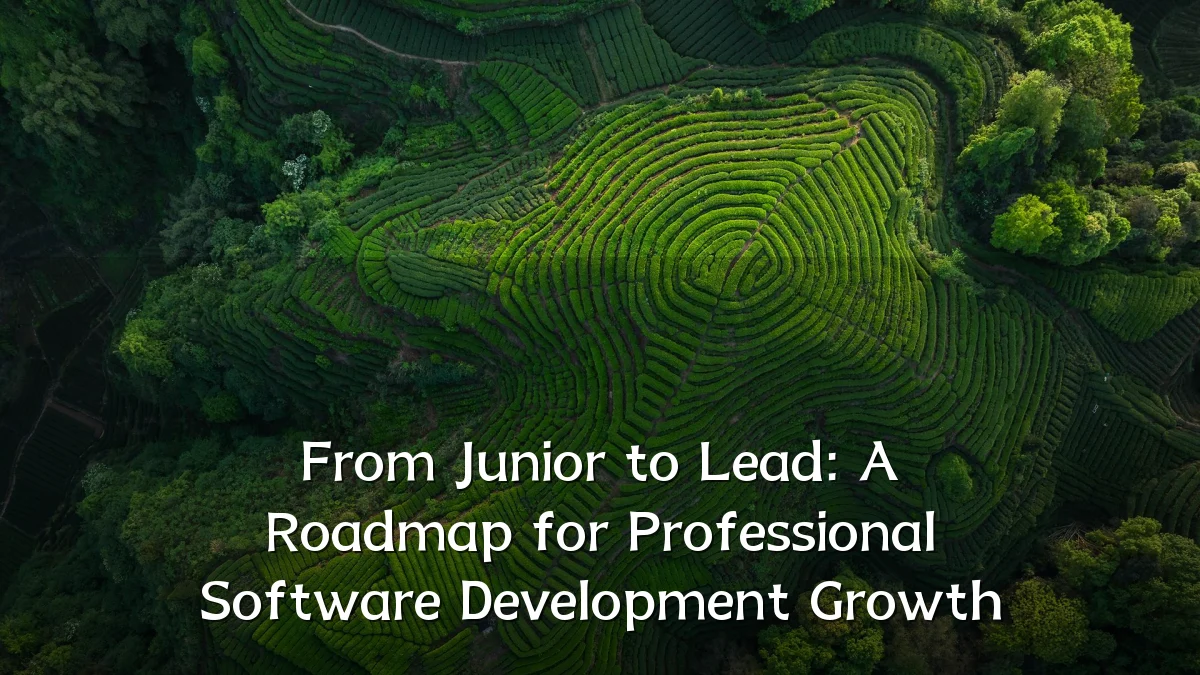 From Junior to Lead: A Roadmap for Professional Software Development Growth