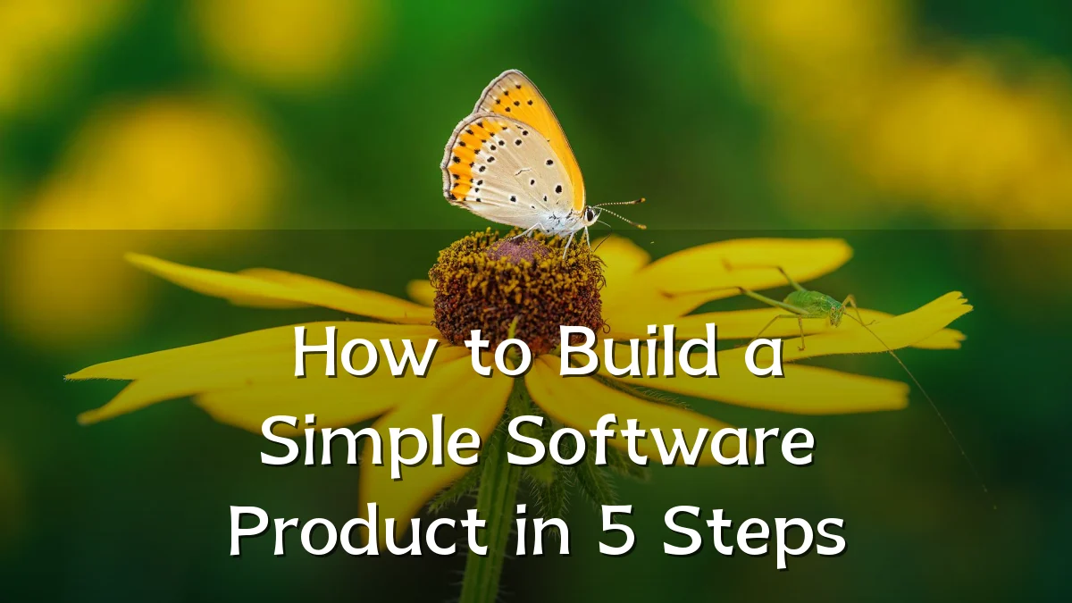 How to Build a Simple Software Product in 5 Steps