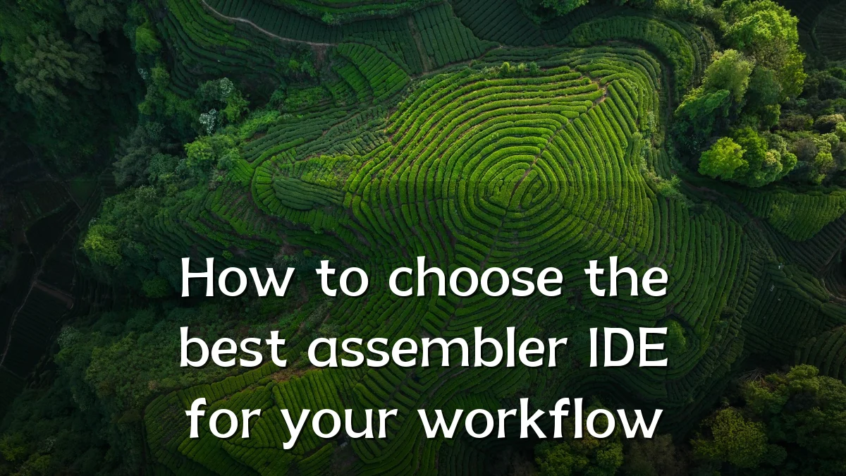 How to choose the best assembler IDE for your workflow