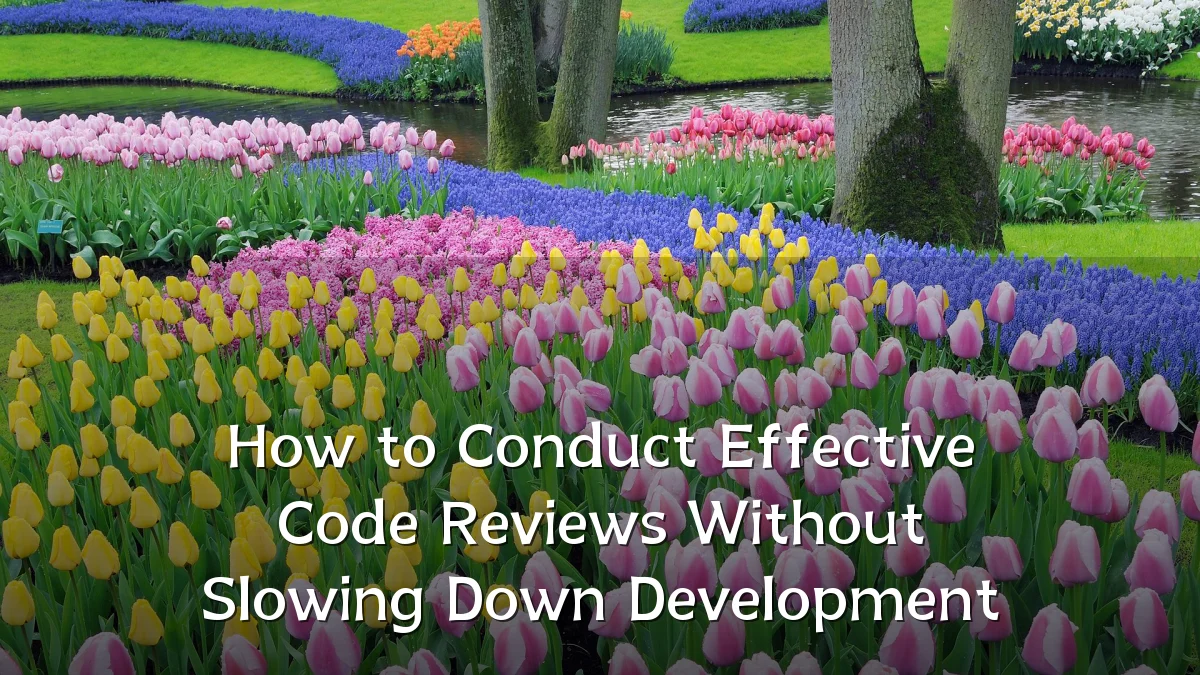 How to Conduct Effective Code Reviews Without Slowing Down Development