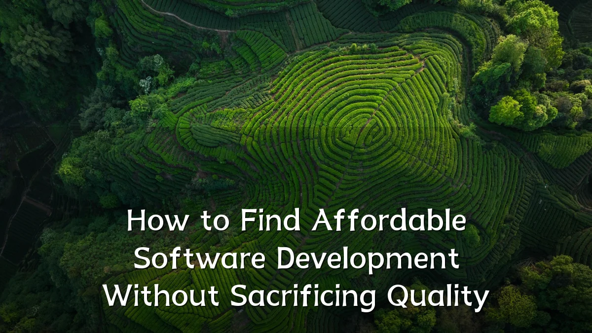 How to Find Affordable Software Development Without Sacrificing Quality