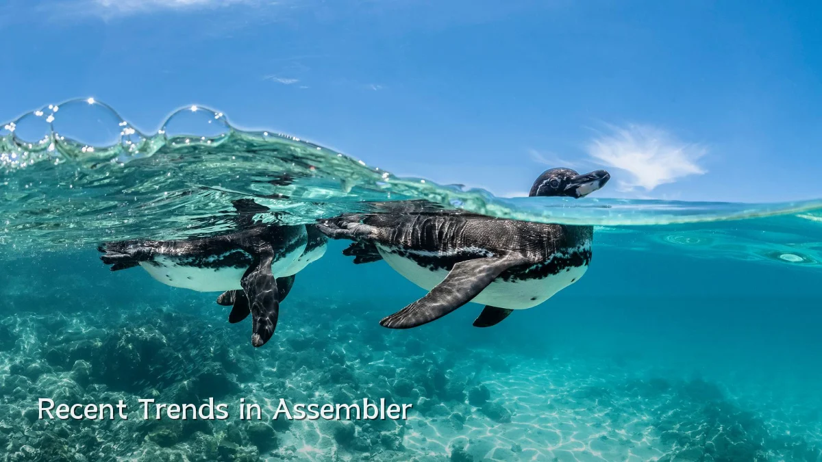 Recent Trends in Assembler