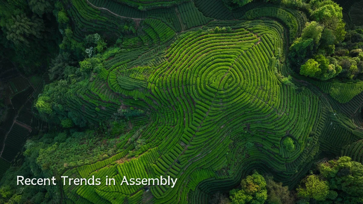 Recent Trends in Assembly