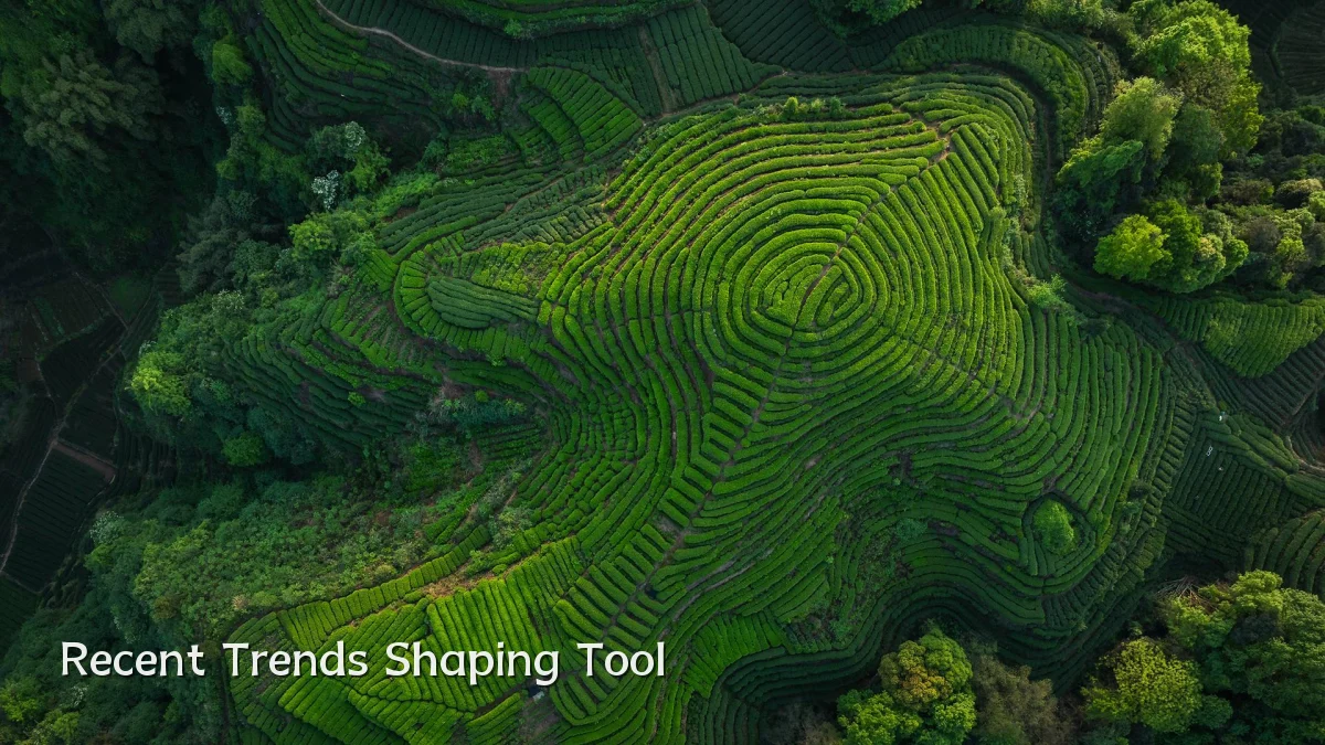 Recent Trends Shaping Tool