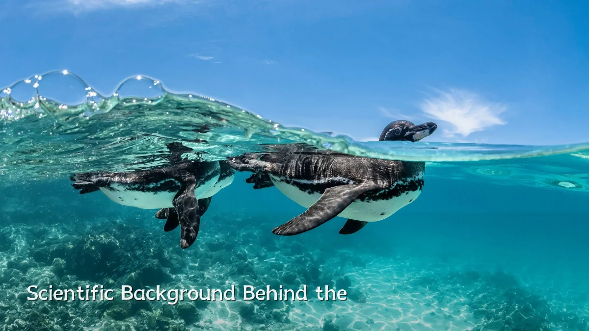 Scientific Background Behind the