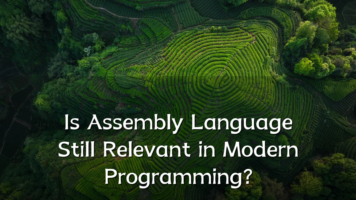 Is Assembly Language Still Relevant in Modern Programming?