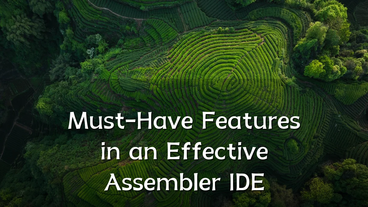 Must-Have Features in an Effective Assembler IDE