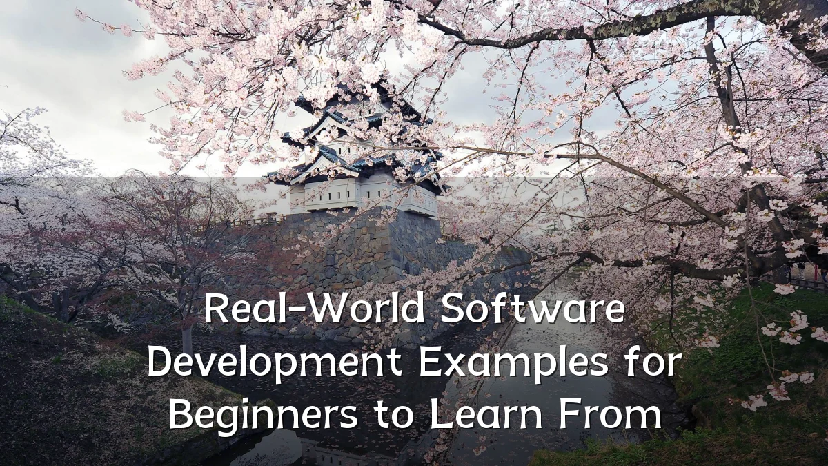 Real-World Software Development Examples for Beginners to Learn From