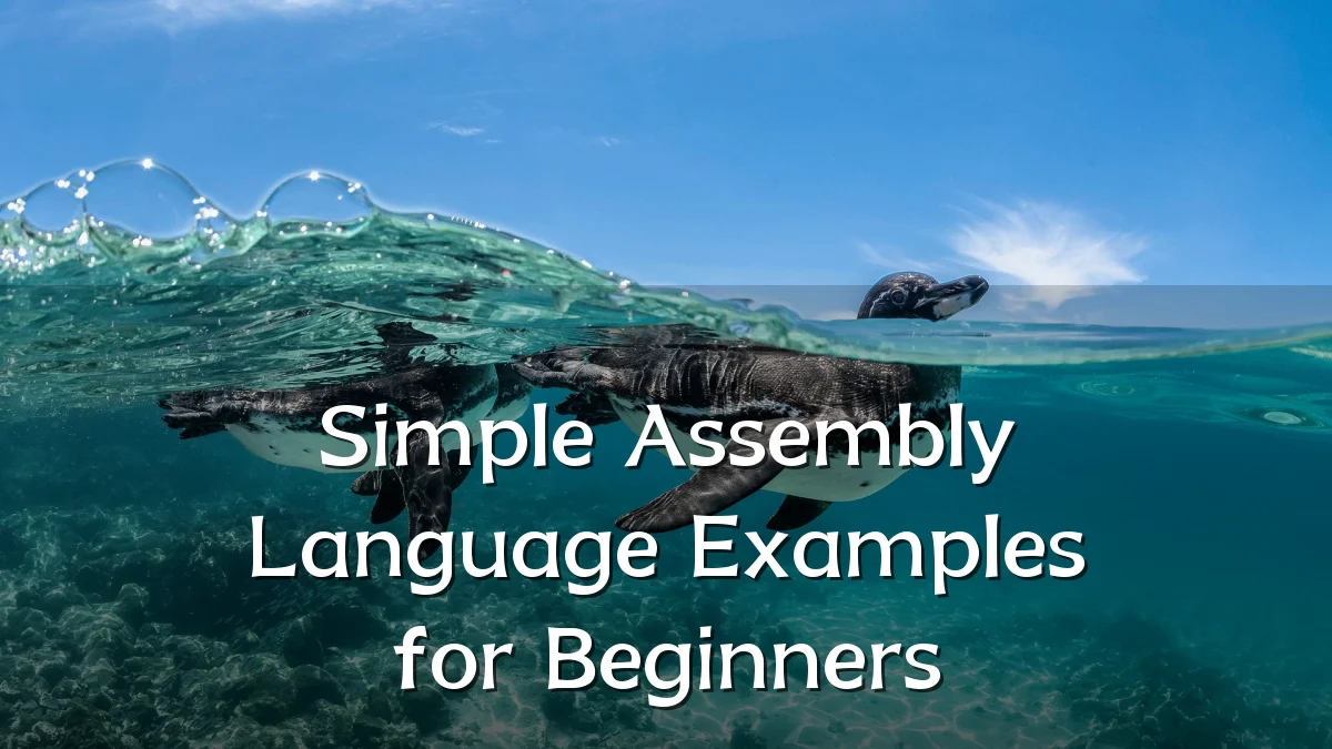 Simple Assembly Language Examples for Beginners