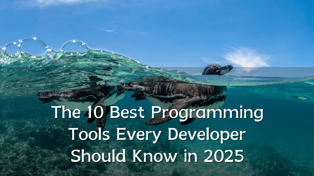 The 10 Best Programming Tools Every Developer Should Know in 2025