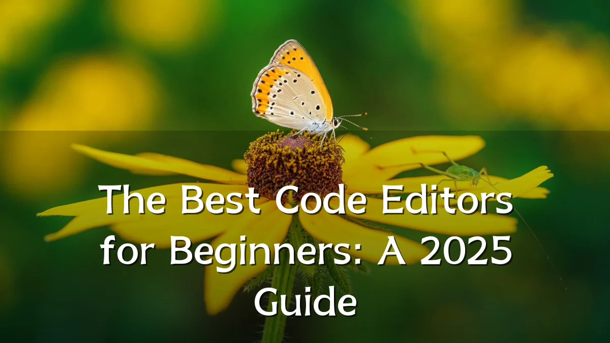 The Best Code Editors for Beginners: A 2025 Guide
