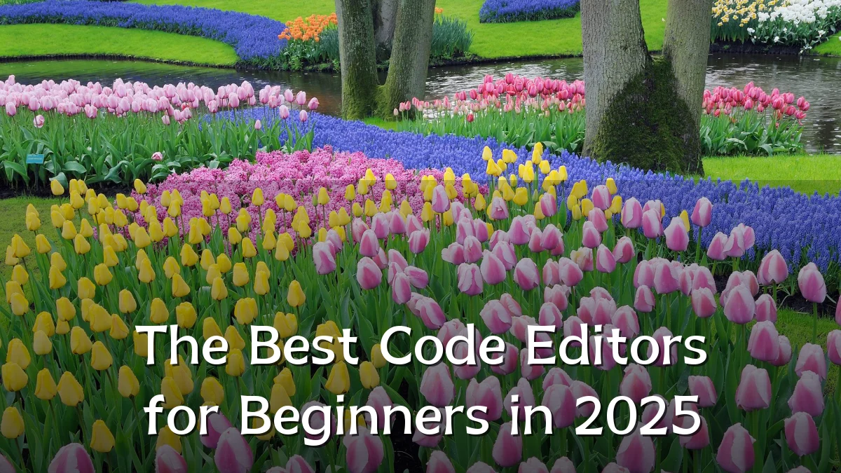 The Best Code Editors for Beginners in 2025