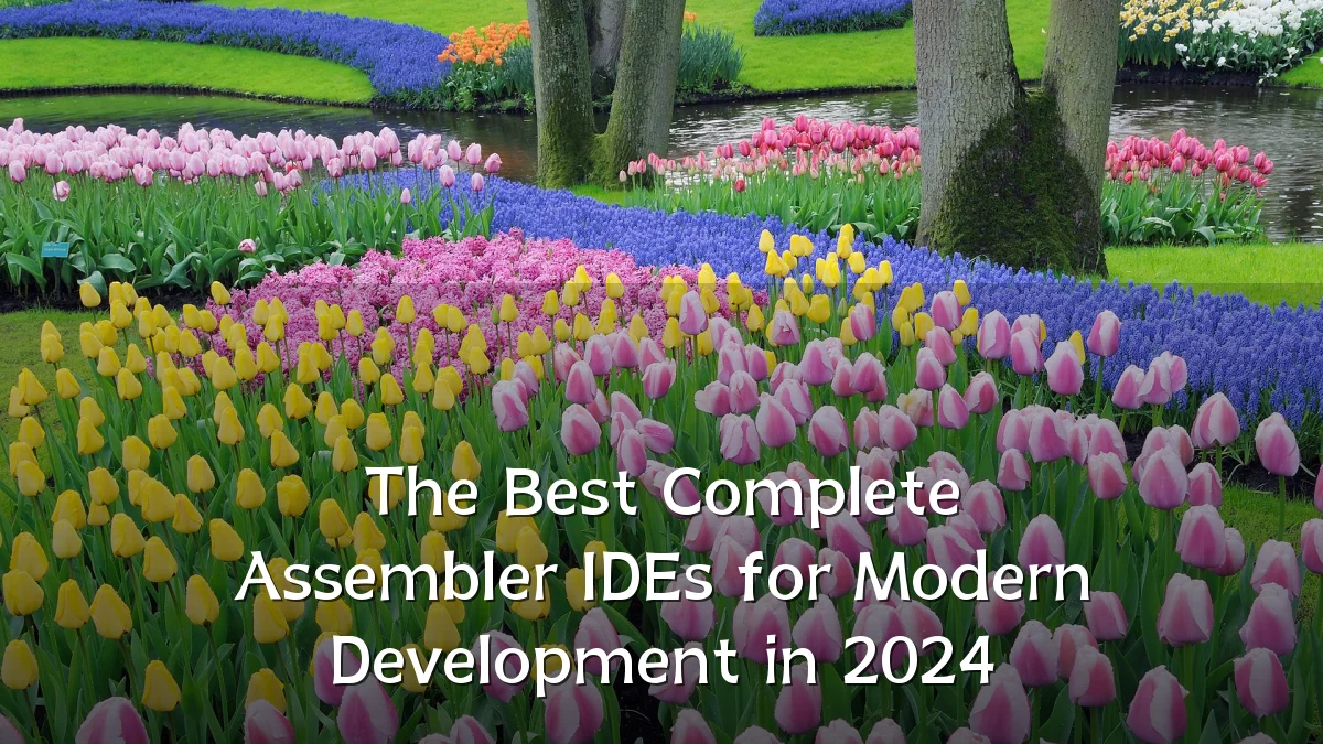 The Best Complete Assembler IDEs for Modern Development in 2024