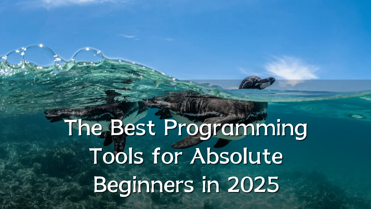 The Best Programming Tools for Absolute Beginners in 2025