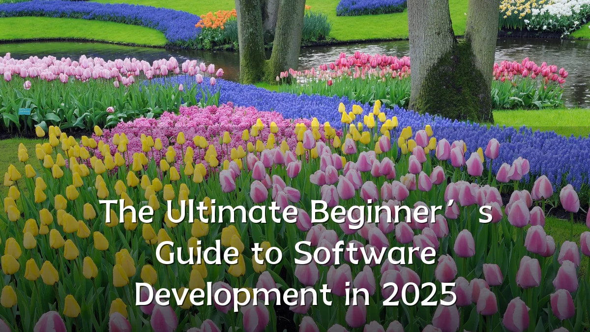 The Ultimate Beginner’s Guide to Software Development in 2025