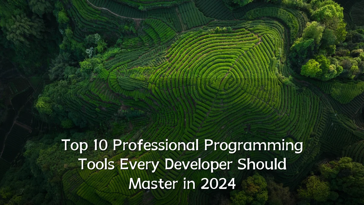 Top 10 Professional Programming Tools Every Developer Should Master in 2024