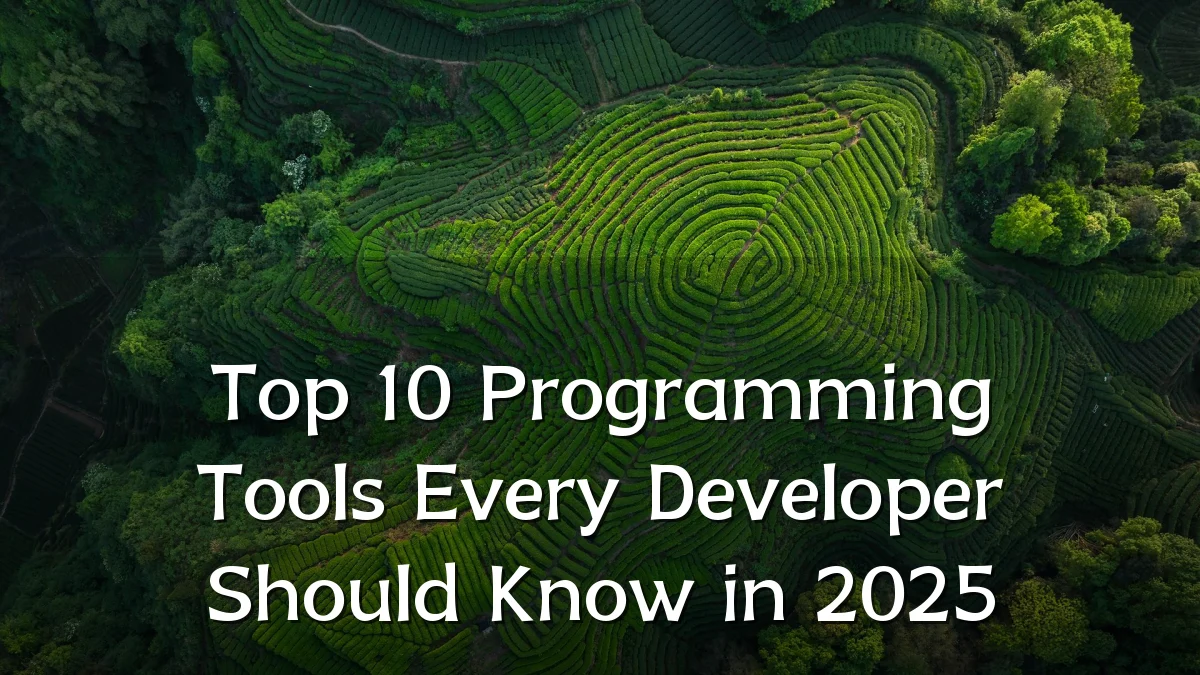 Top 10 Programming Tools Every Developer Should Know in 2025