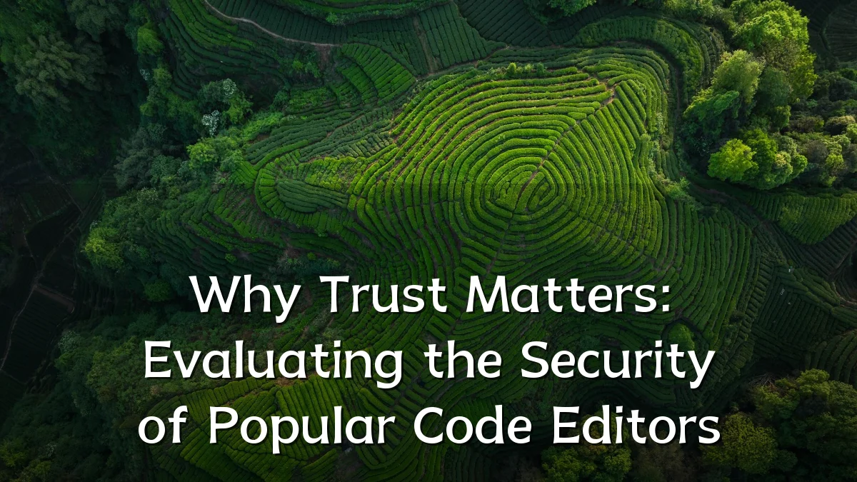Why Trust Matters: Evaluating the Security of Popular Code Editors