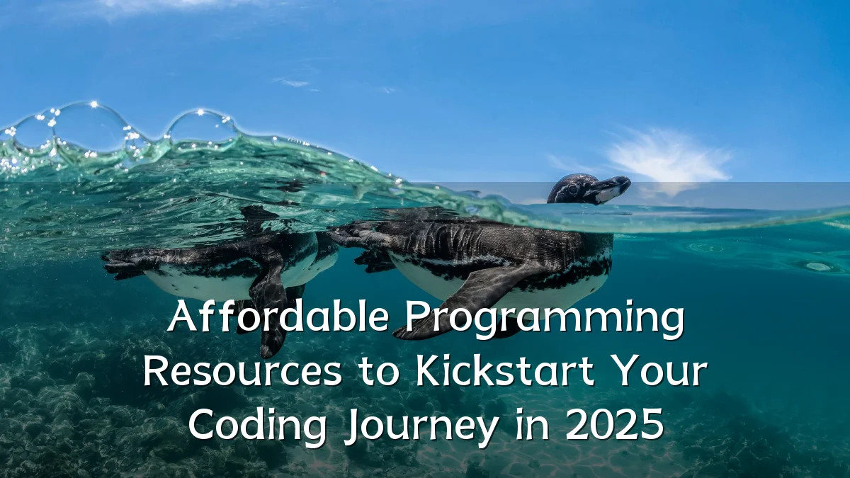 Affordable Programming Resources to Kickstart Your Coding Journey in 2025