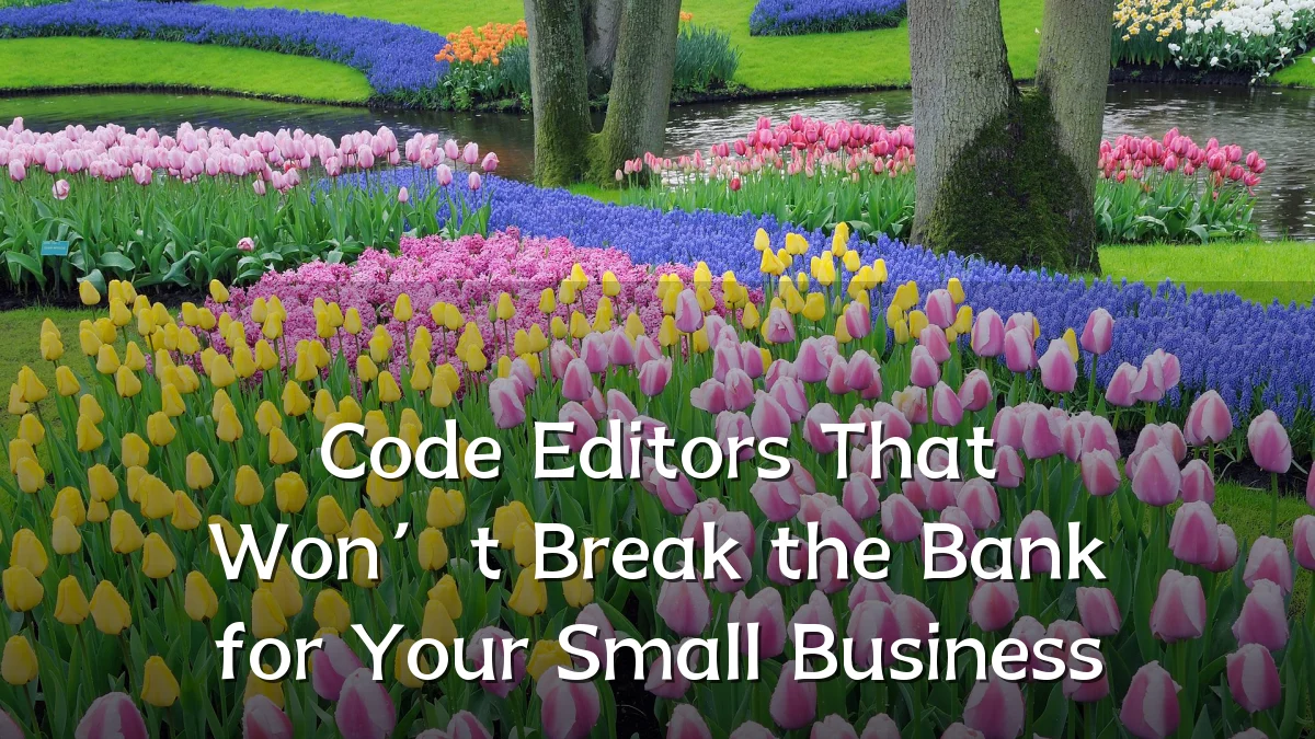 Code Editors That Won’t Break the Bank for Your Small Business