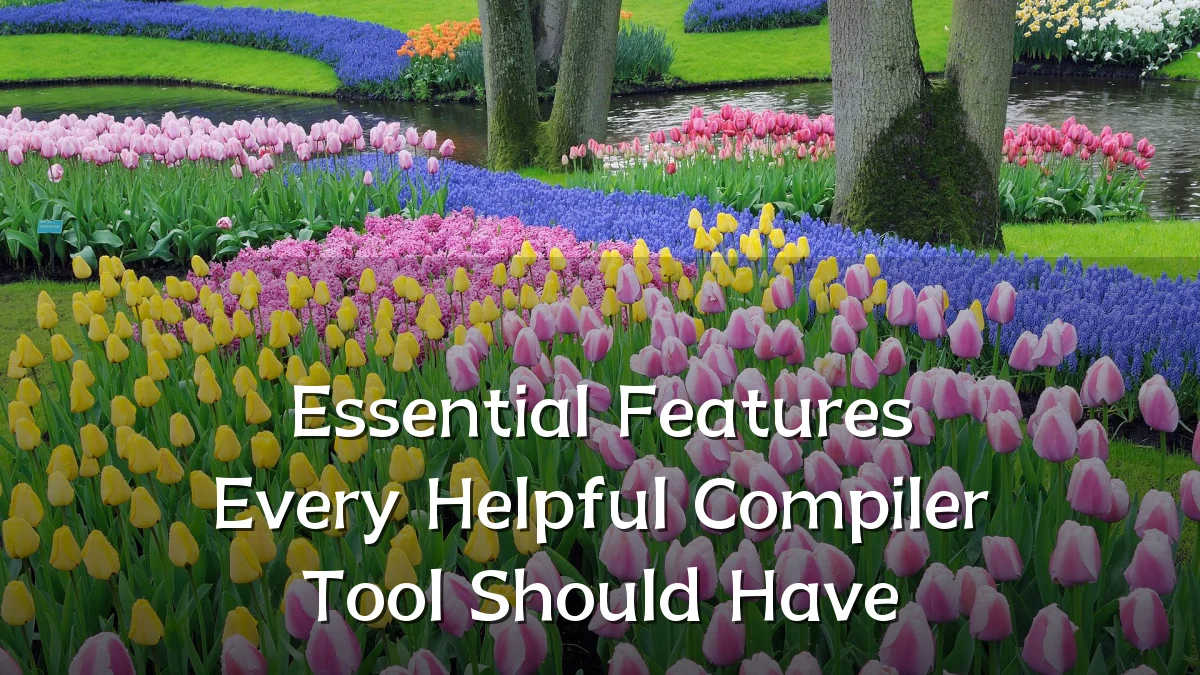 Essential Features Every Helpful Compiler Tool Should Have