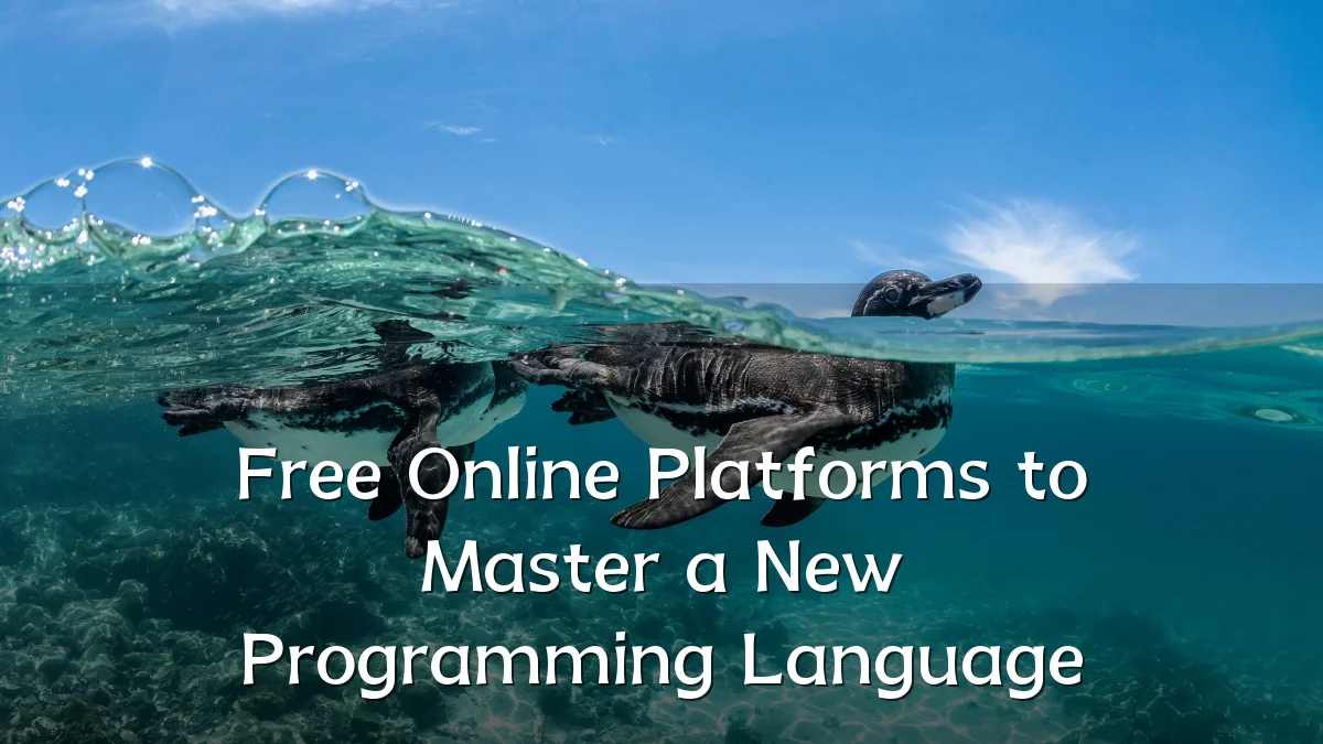 Free Online Platforms to Master a New Programming Language