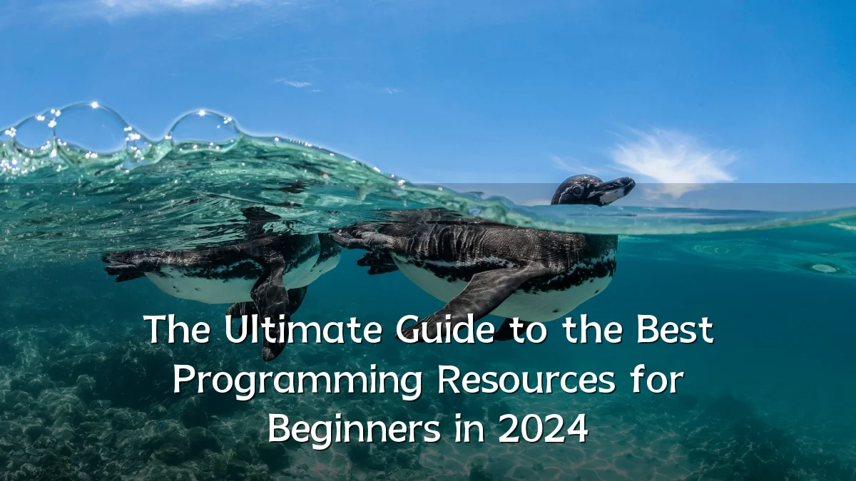 The Ultimate Guide to the Best Programming Resources for Beginners in 2024
