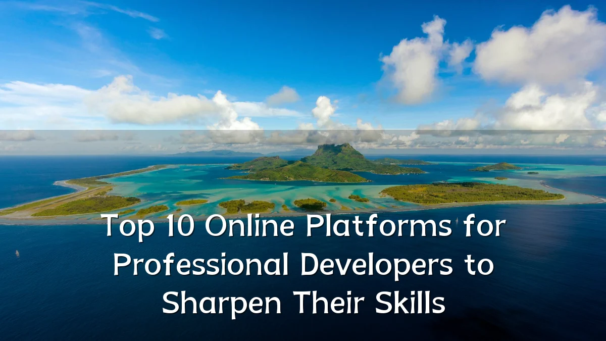 Top 10 Online Platforms for Professional Developers to Sharpen Their Skills