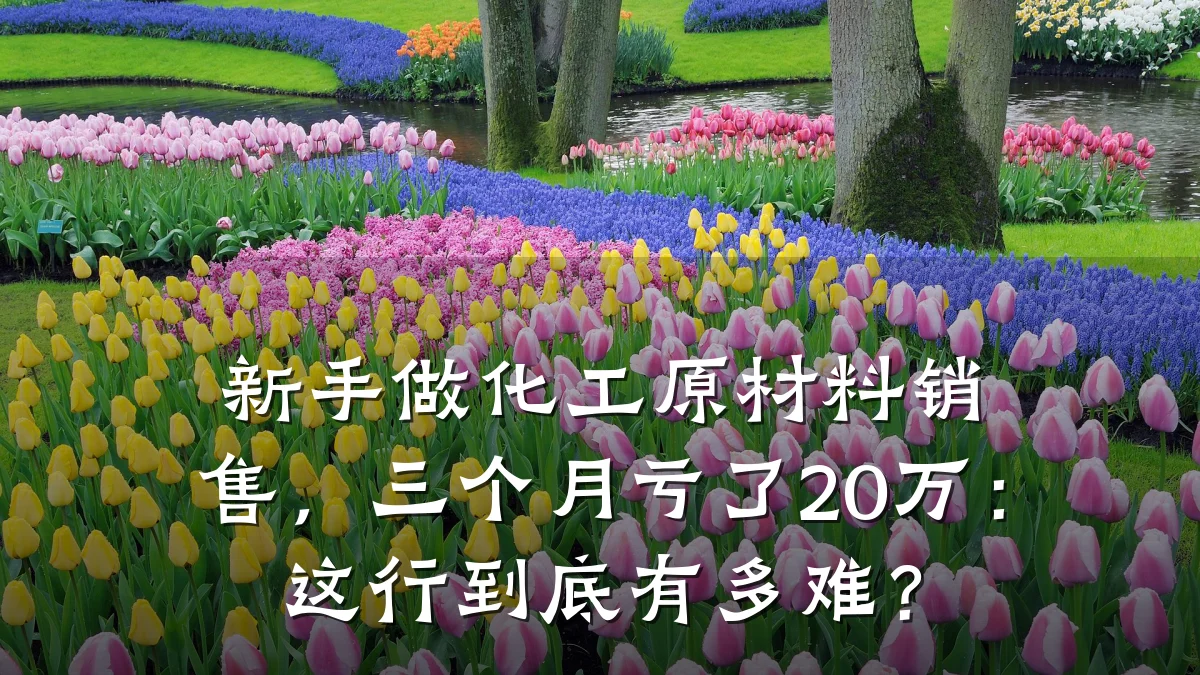 新手做化工原材料销售，三个月亏了20万：这行到底有多难？