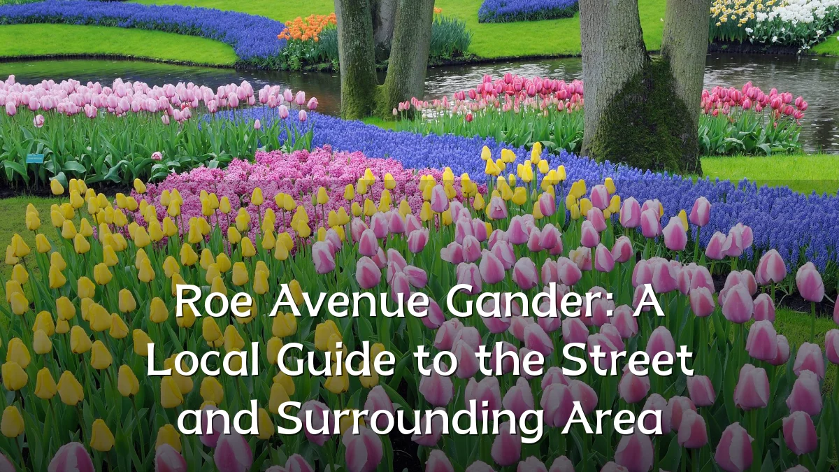 Roe Avenue Gander: A Local Guide to the Street and Surrounding Area